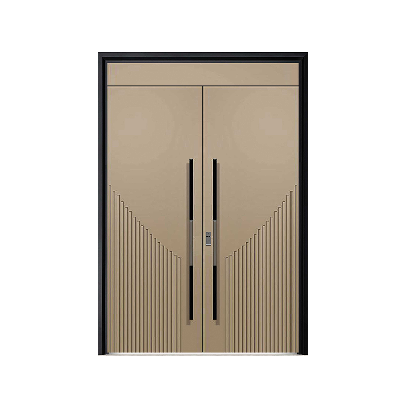 Modern Korean Style Entrance Door