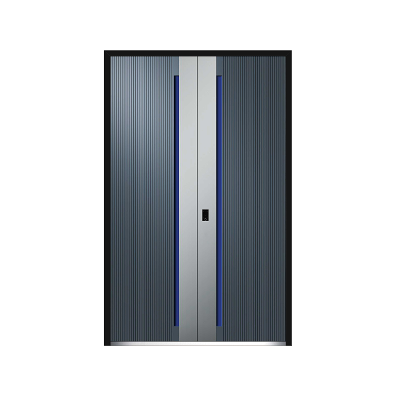 Modern Villa Double Security Door