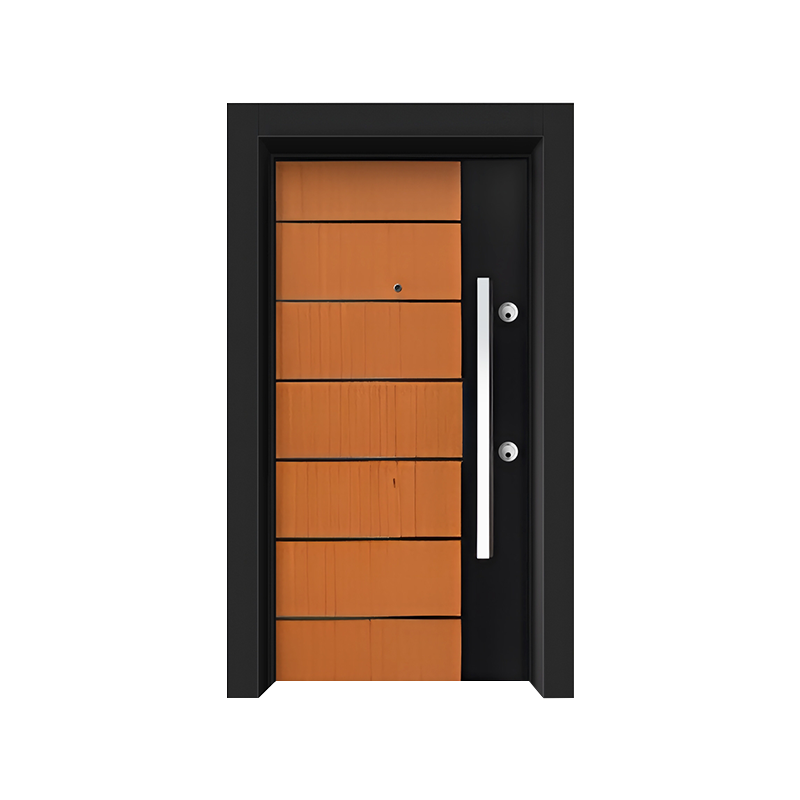 Simple Entrance Single Open Steel Door