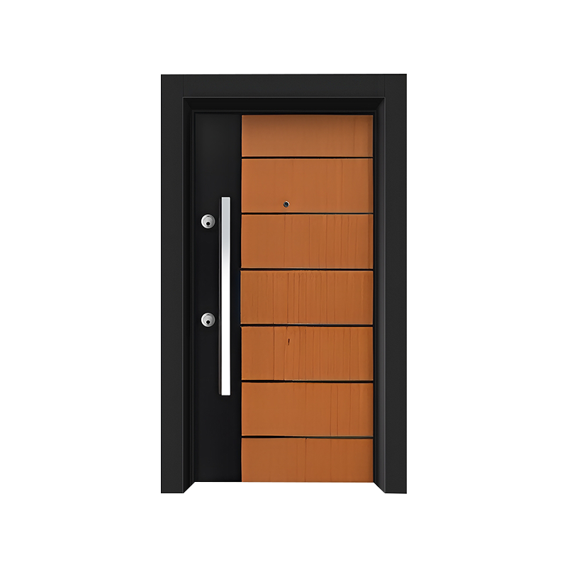 Simple Entrance Steel Door