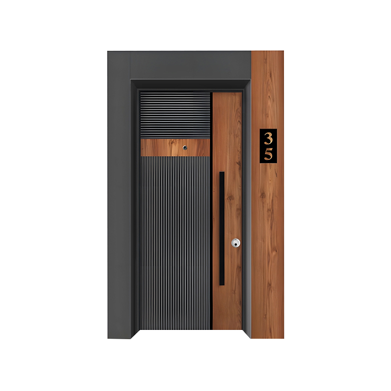 Gray Steel Frame Modern Style Entrance Single Door