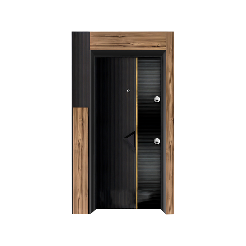 Black Steel Frame Modern Style Entrance Single Door 