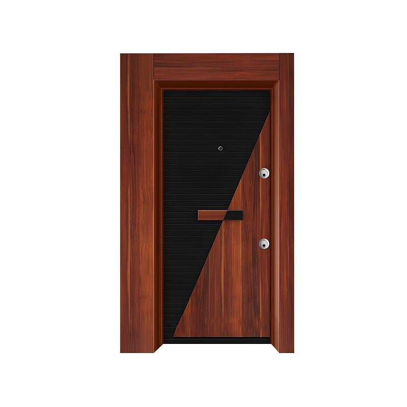 Turkish Style Steel Frame Modern Style Single Door