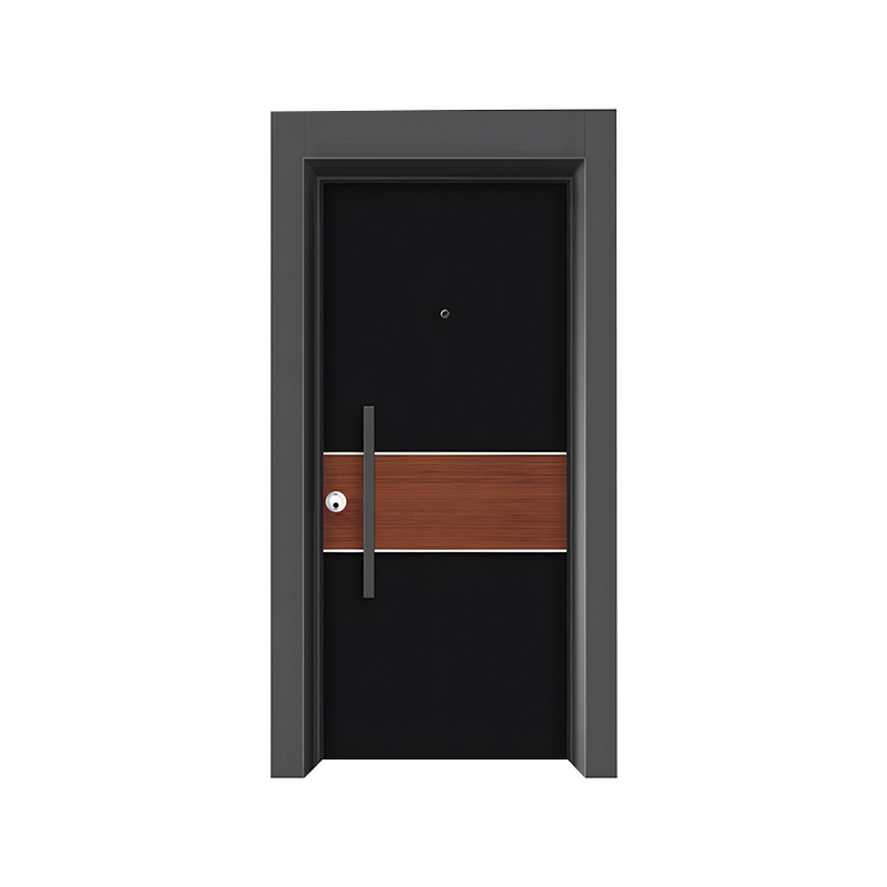  Steel Frame Modern Entrance Door