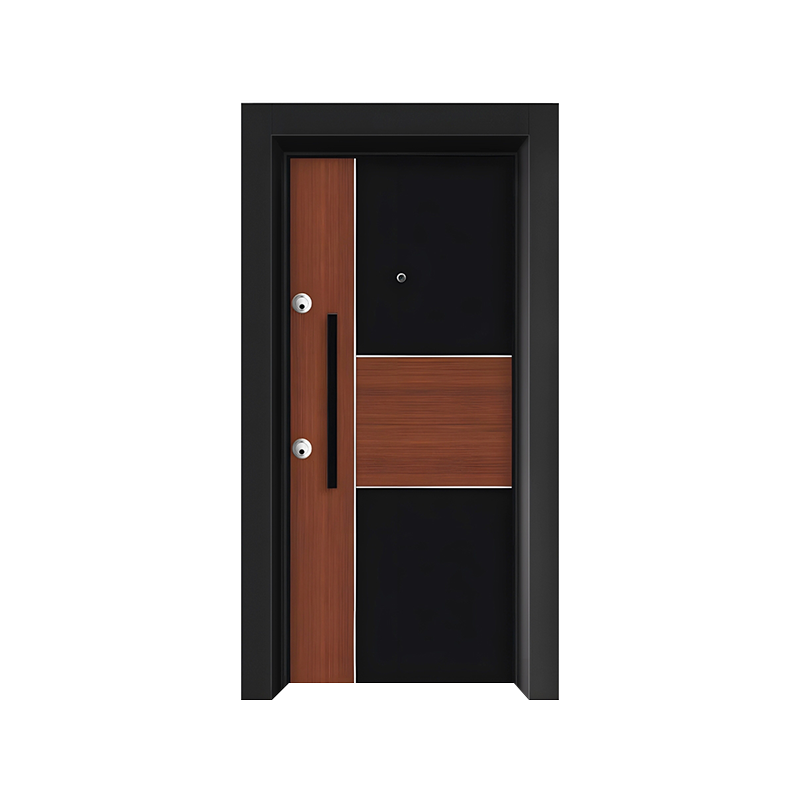 Steel Frame Modern Simple Entrance Door