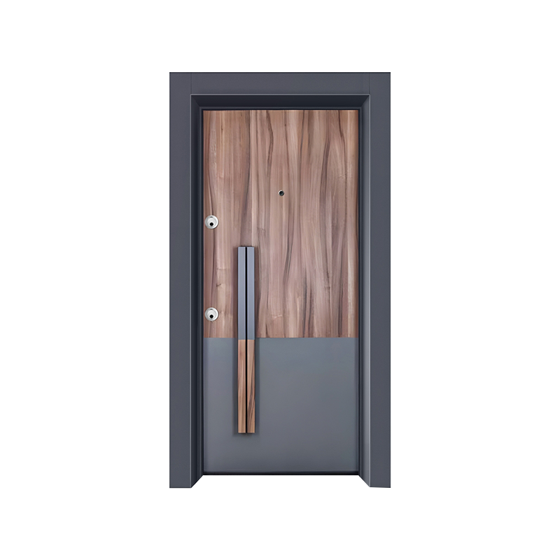 Modern Light Luxury Single Door