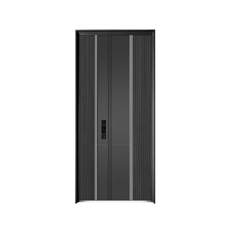 High-End Modern Simple Entrance Door