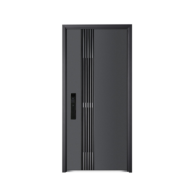 Modern Style Home Security Door