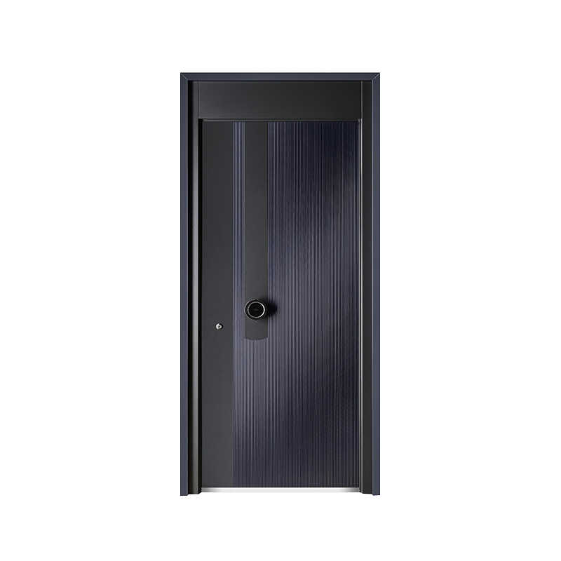 Home Security Door