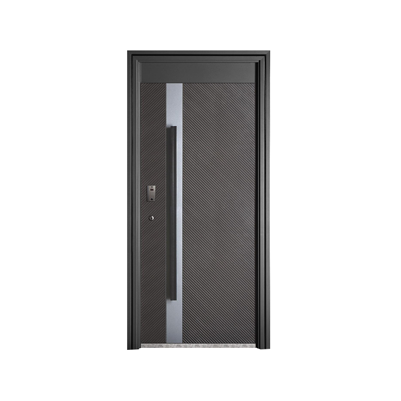 Modern Entrance Steel Door