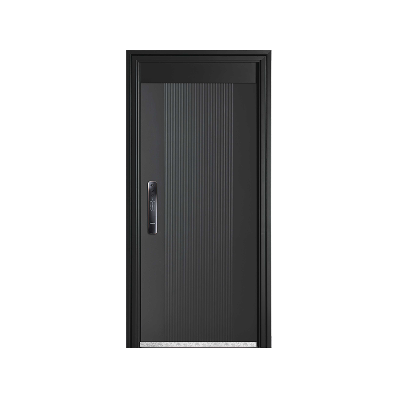 Modern Simple Entrance Door
