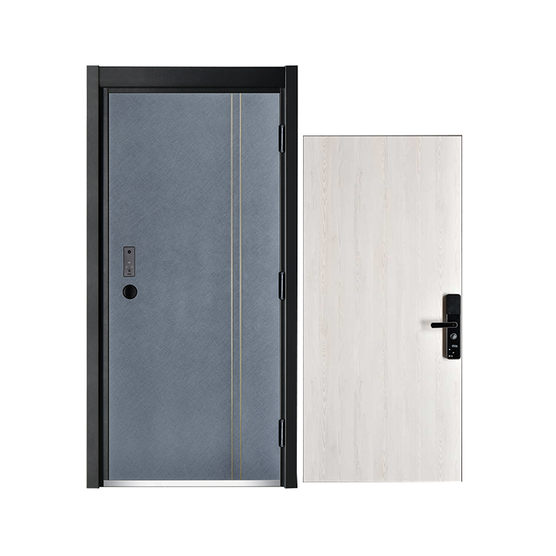 Central Asian Style Simple Security Door