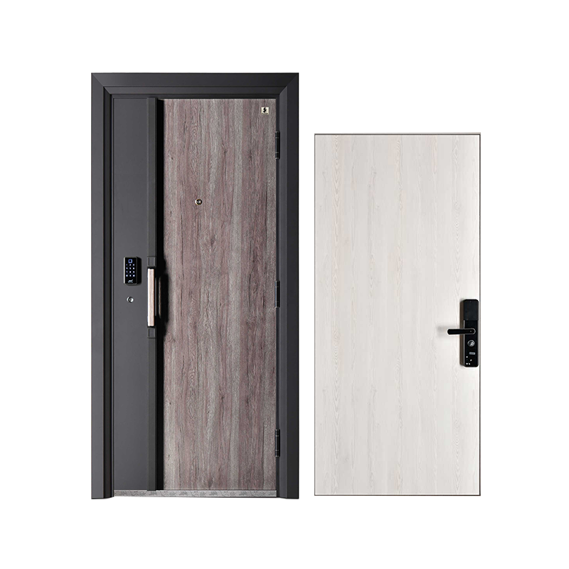 Central Asian Style Household Intelligent Anti-Theft Door