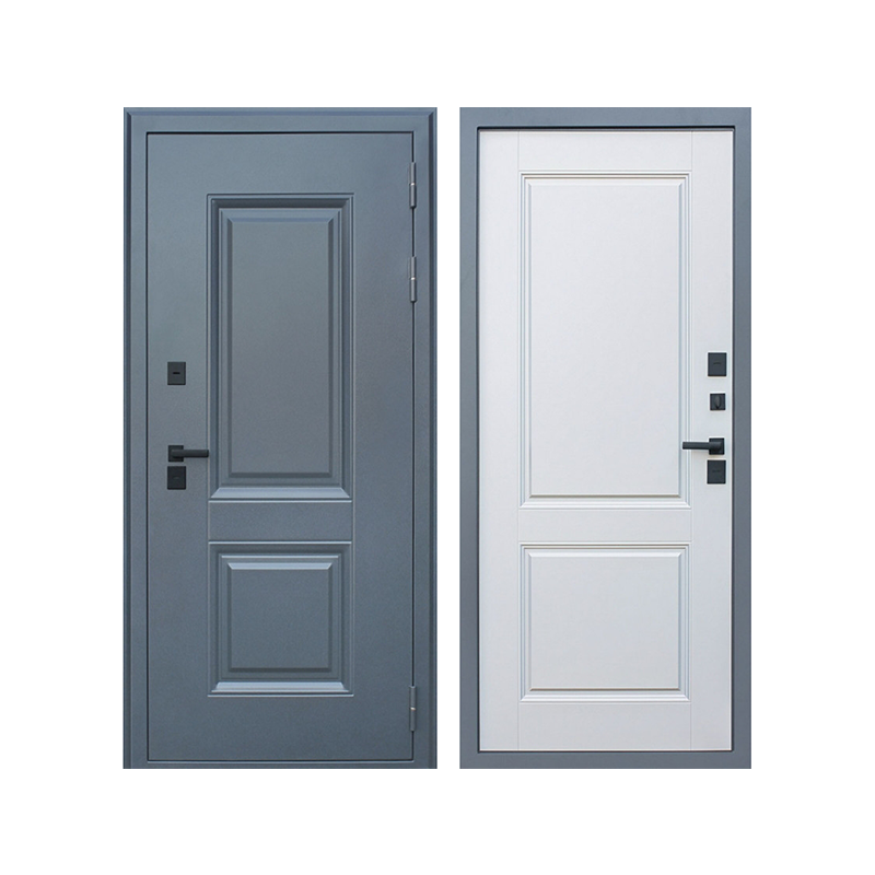 Modern Simple Entrance Swing Door
