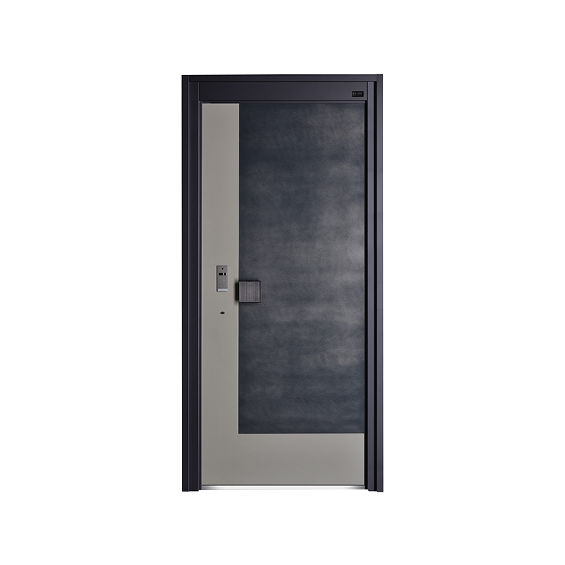 Modern Swing Door