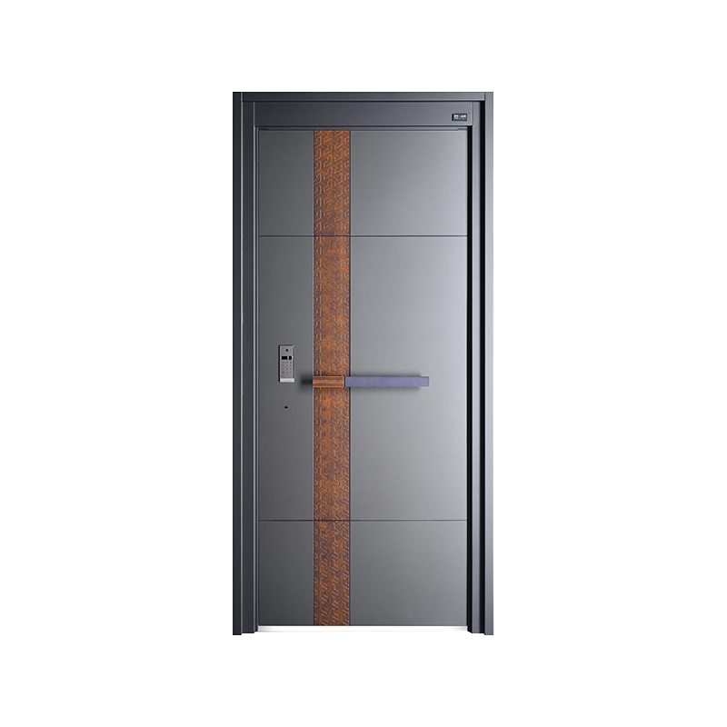 Modern Light Luxury Swing Door