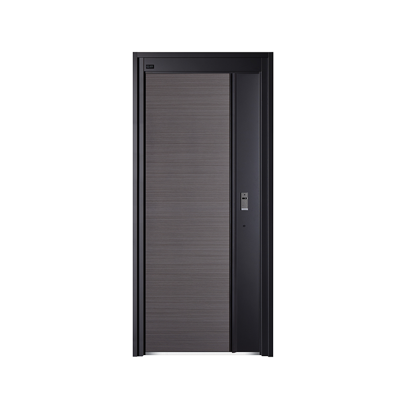 Modern Simple Swing Door
