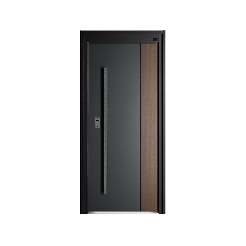 Modern Simple Luxury Swing Door