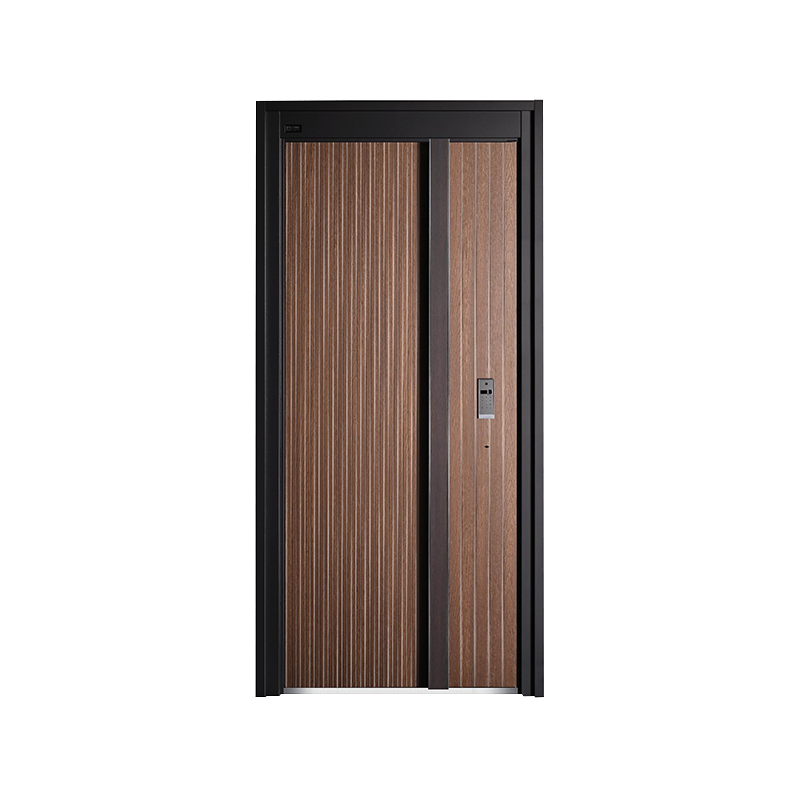 Modern Simple Entrance Door