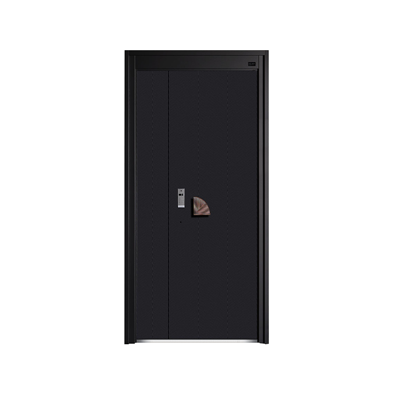 Home Minimalist Entrance Door