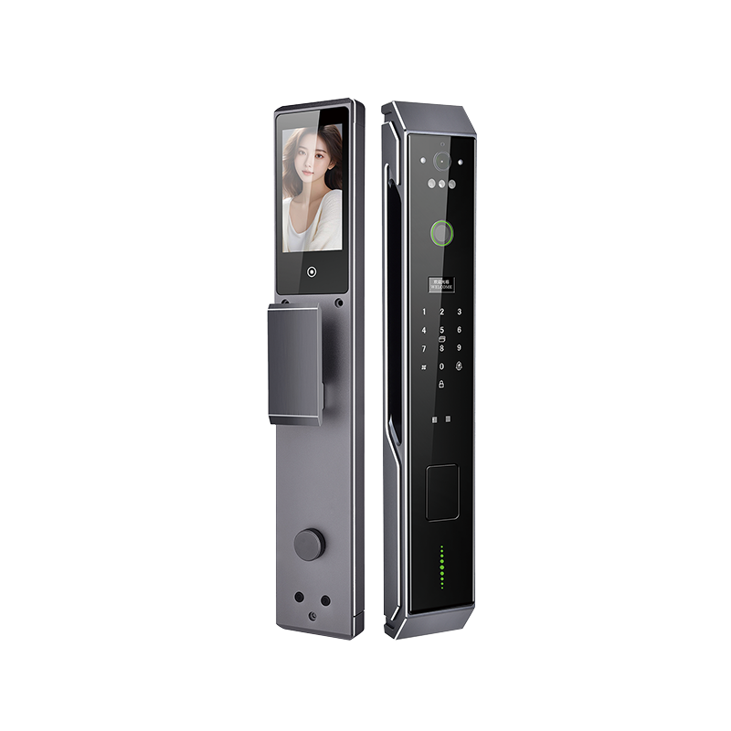 Fully Automatic Entry Home Smart Door Lock