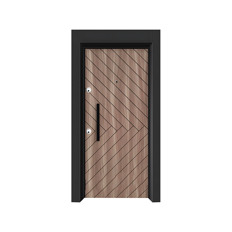 Apartment Security Door