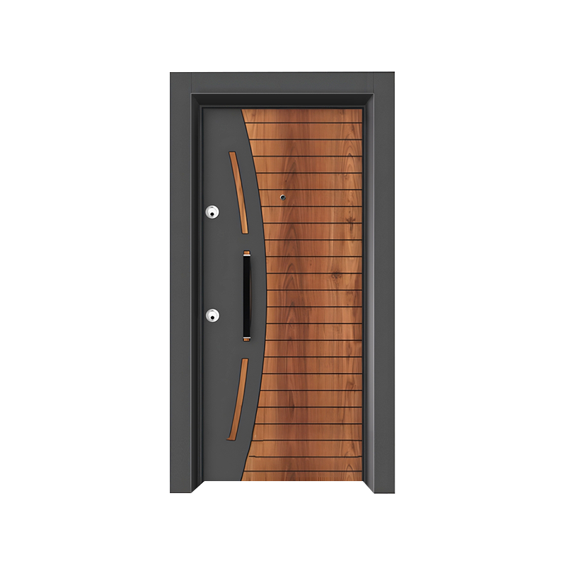 Simple And Light Luxury Home Entrance Swing Door