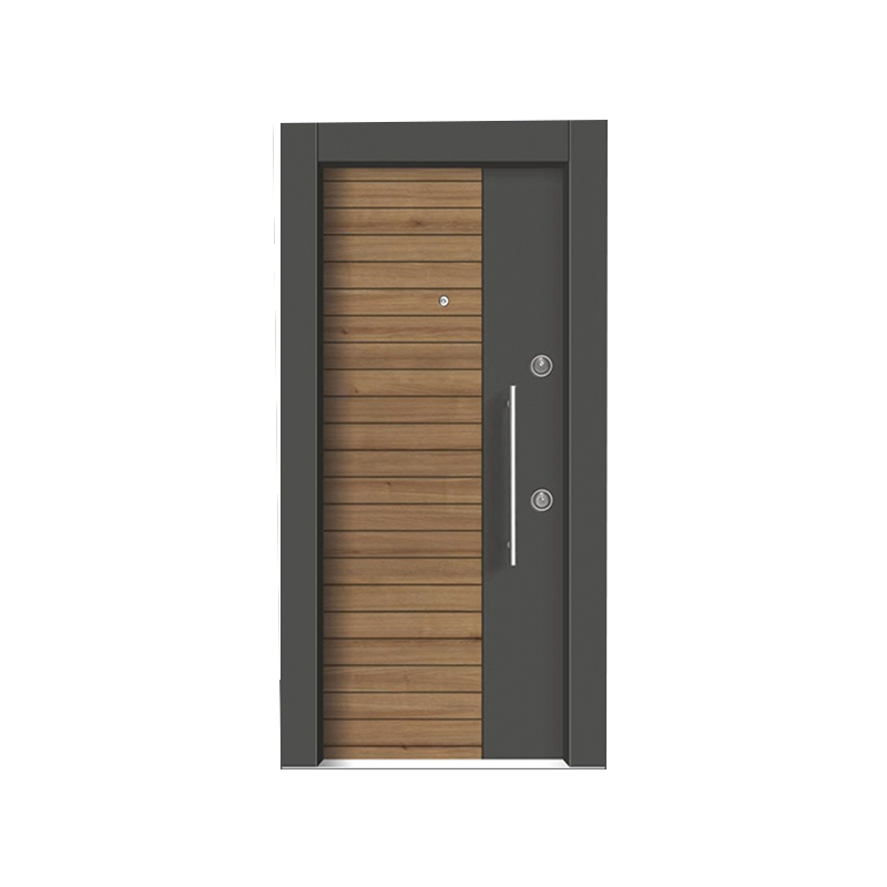 Simple Light Luxury Villa Entrance Door