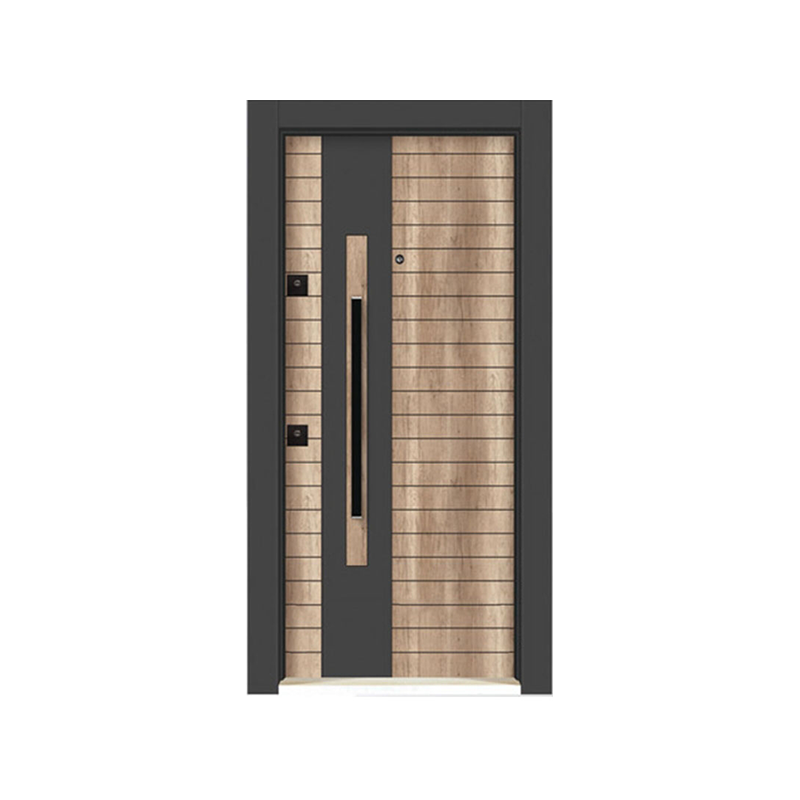 Home Security Door