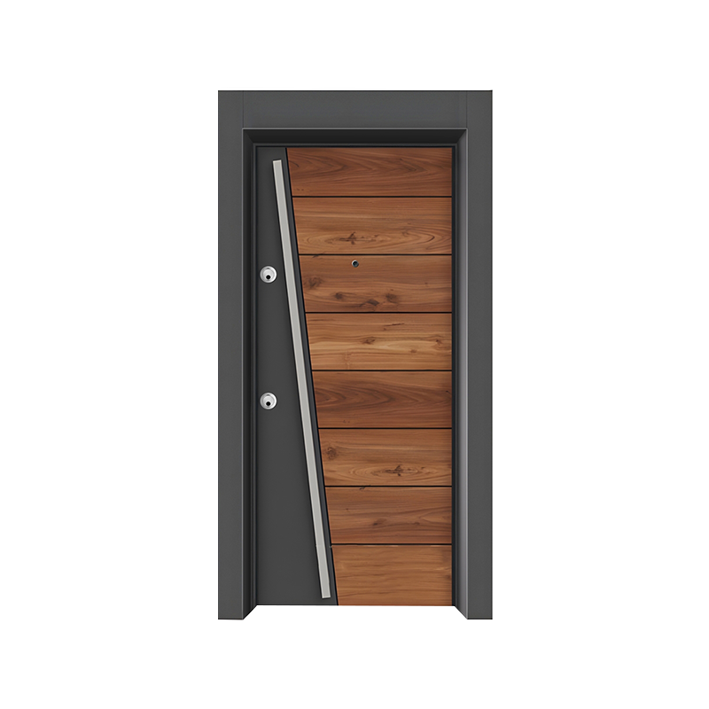 Two-Color Single-Opening Security Door
