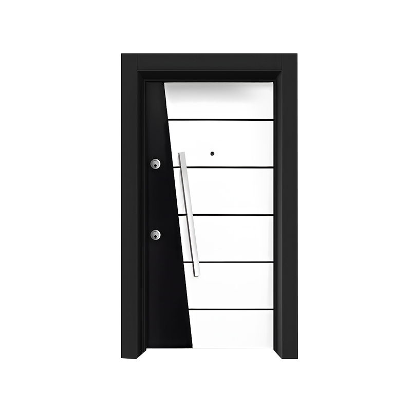Two-Color Security Door