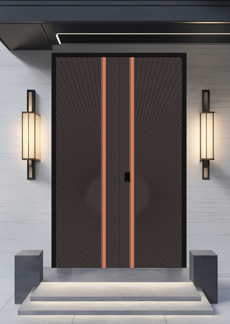 Modern Simple Entrance Double Door