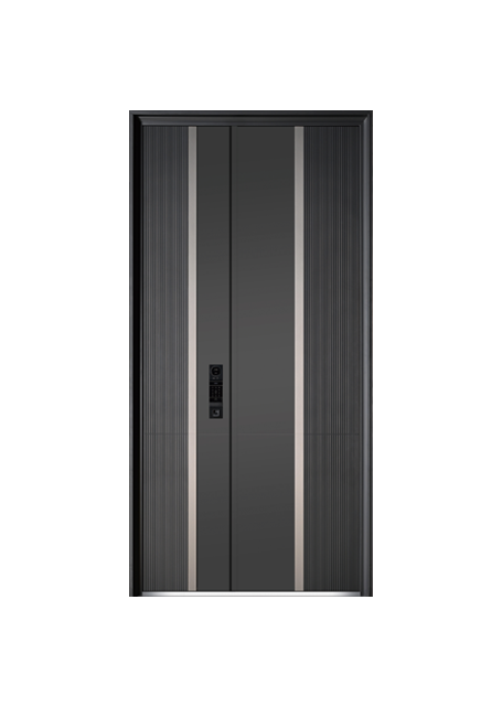 High-End Modern Simple Entrance Door