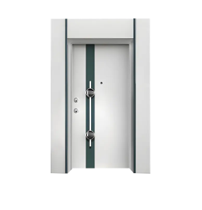 Building Entrance Door